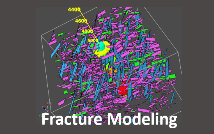 DFN model around wellbore DFN model around wellbore
